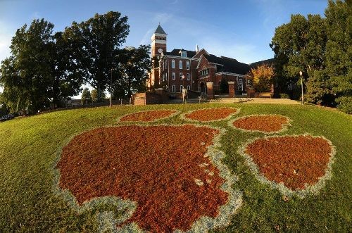 Stop Unlawful Covid Testing of Clemson Students